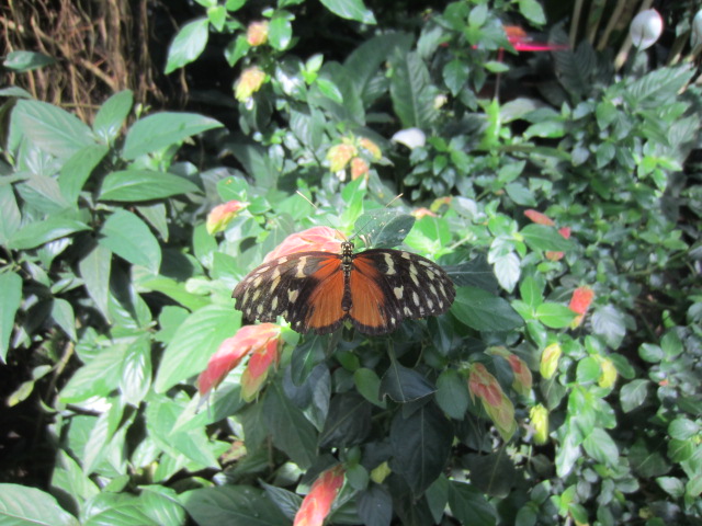 Ausflug in den Palmengarten
