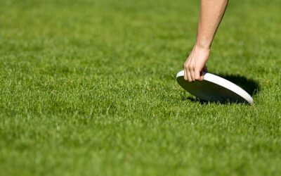Ultimate Frisbee