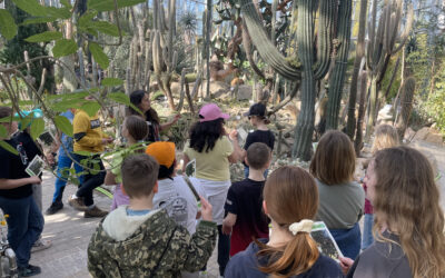 Schokocreme unter Palmen*